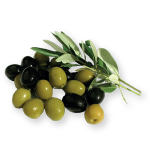 fact_about_olive_pic4